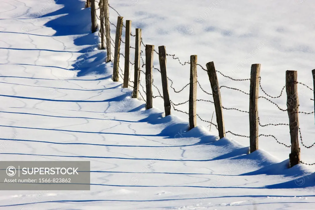 Old fence after a snow storm, Piedrasluengas pass, Cantabria, Spain