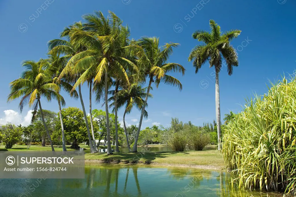 Palms Pandanus Lake Fairchild Tropical Botanic Garden Coral Gables Florida USA