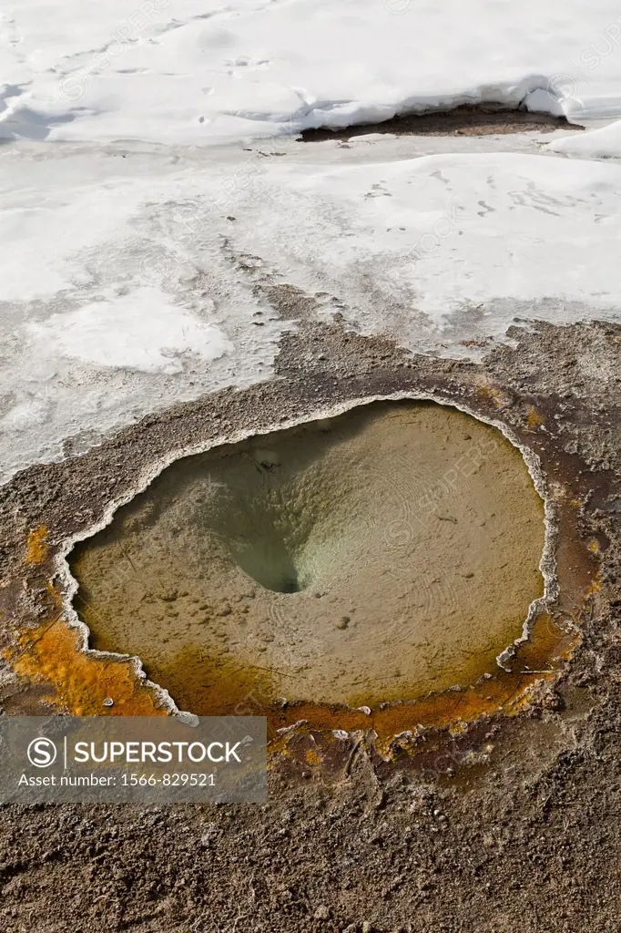 Hot Spring, Winter, Upper Geyser Basin, Yellowstone NP, WY
