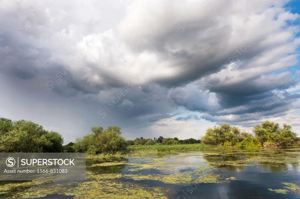 Lakes in the Danube Delta, romania, thunderstorm clouds form in the air, which is full of moisture from the huge evaporation surface of the still floo...