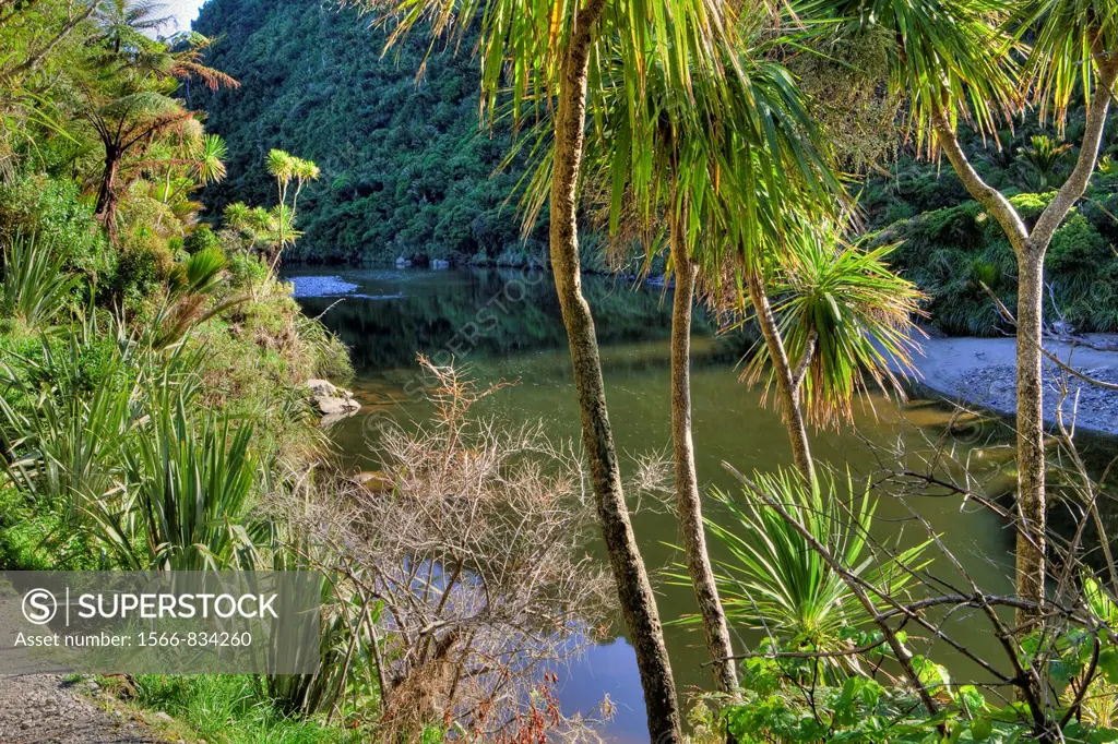 Pororari River Trail, Westcoast South Isalnd, New Zealand