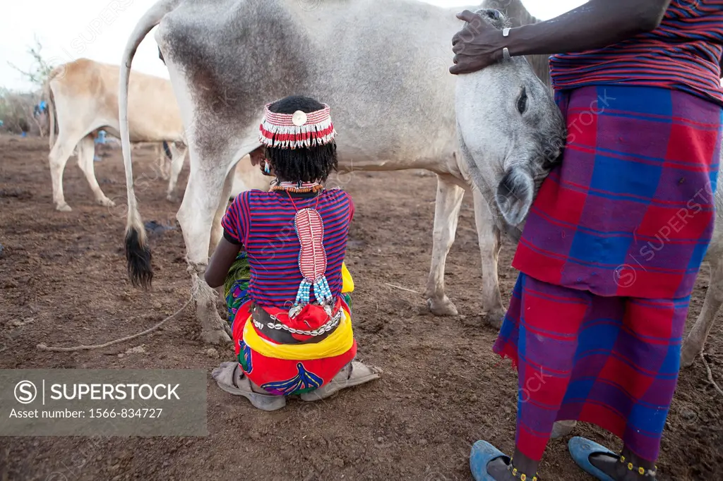 Ethiopian nomads with their cattle
