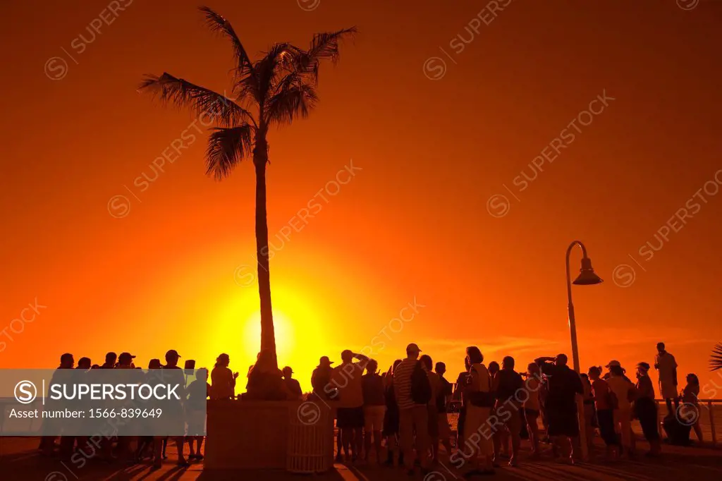 Crowd Of Tourists Watching Sunset Mallory Square Old Town Historic District Key West Florida USA