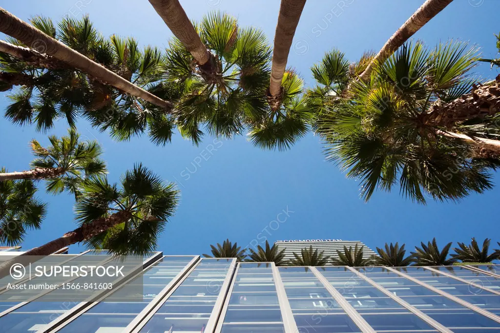 USA, Nevada, Las Vegas, CityCenter, Cosmopolitan Hotel, palms