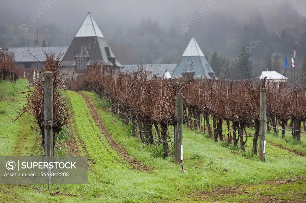 USA, California, Northern California, Russian River Wine Country, Geyserville, Francis Ford Coppola Winery