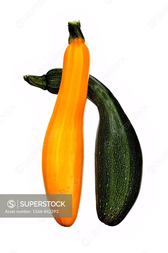 A pair of green and yellow homegrown courgettes isolated against a white background.
