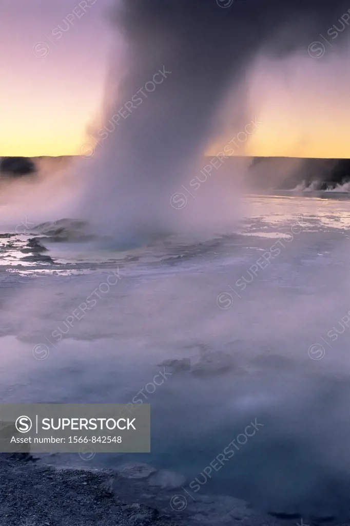 Steam boils out of Fountain Geyser at sunset, Fountain Paint Pot area, Yellowstone National Park, Wyoming