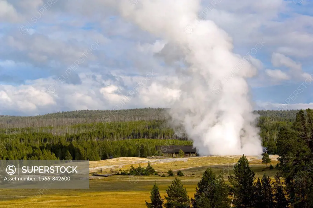Huge column of geothermal steam from eruption of Old Faithful Geyser, Yellowstone National Park, Wyoming