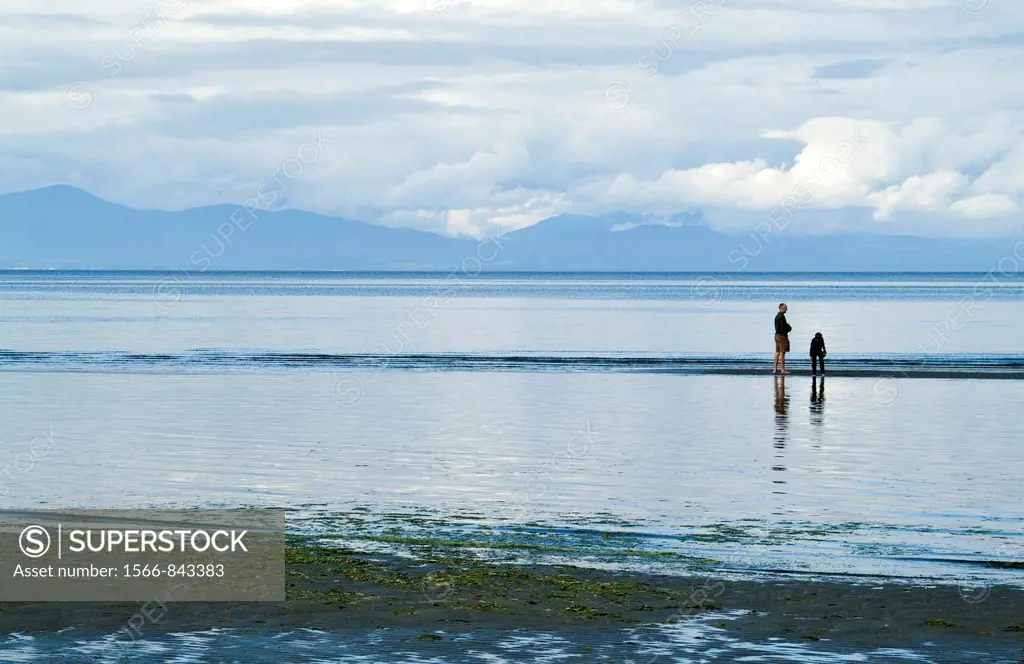 beach at Rathtrevor Provincial Park, Vancouver Island, BC, Canada, near the town of Parksville