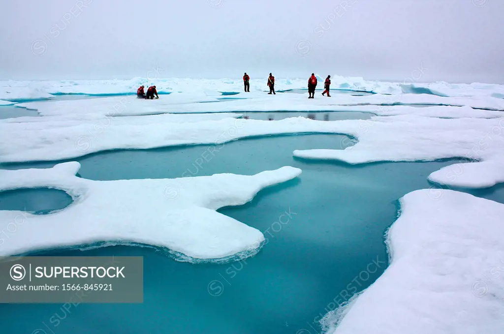 ICESCAPE The terrain for the scientific work conducted by ICESCAPE scientists on July 4, 2010, was Arctic sea ice and melt ponds in the Chukchi Sea  T...