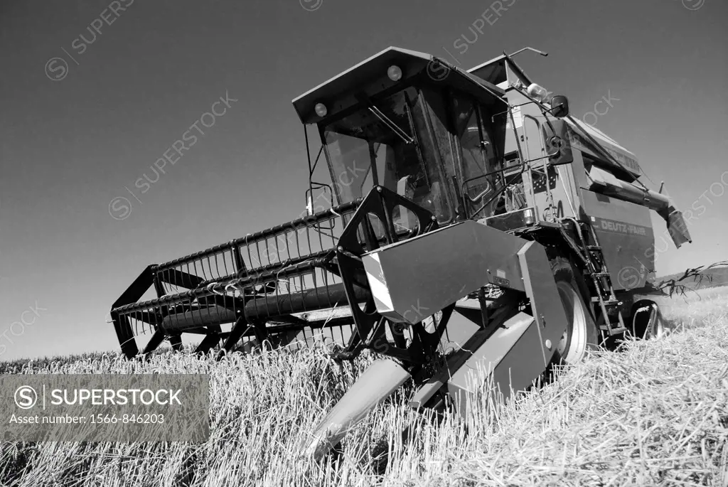 Harvester-Thresher on a Cornfield