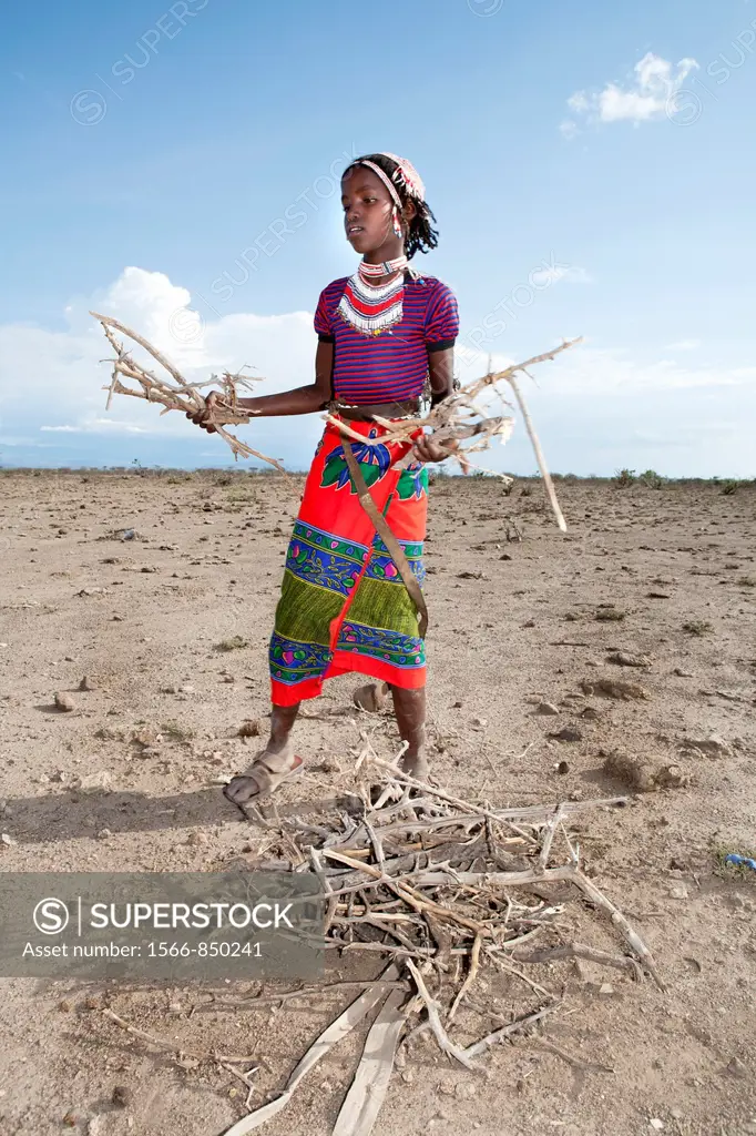 Ethiopian girls collecting firewood