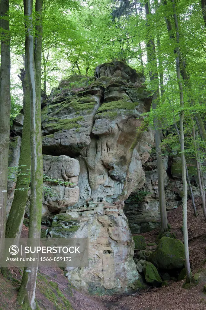 rocks and forest in German Luxembourgian Nature Park, Germany