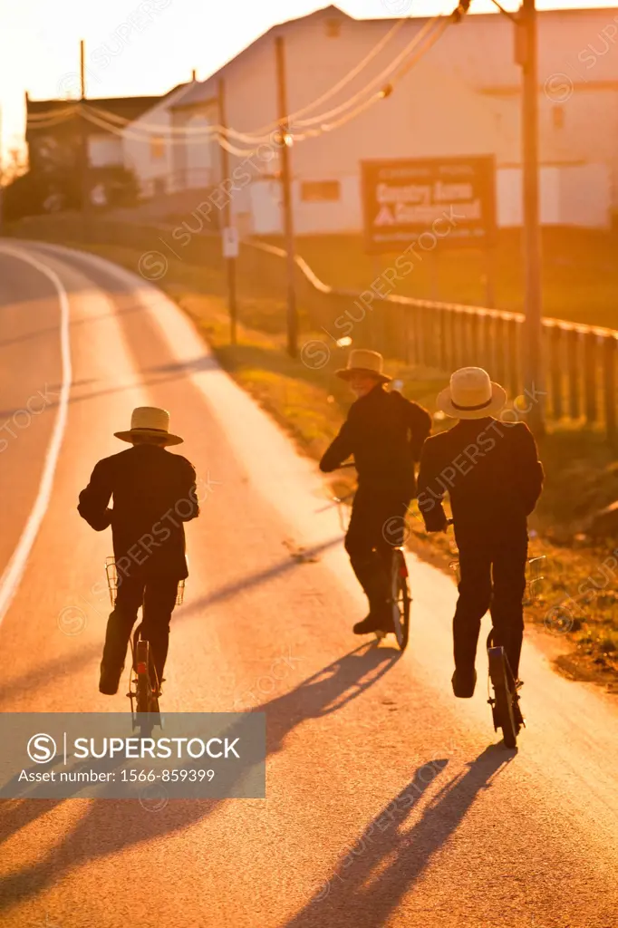Amish children ride push scooters to church during sunrise in Bird in Hand, PA