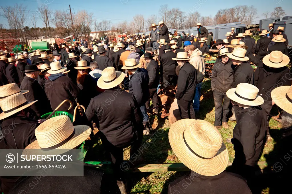 Amish men bid on farm equipment during the Annual Mud Sale to support the Fire Department in Gordonville, PA