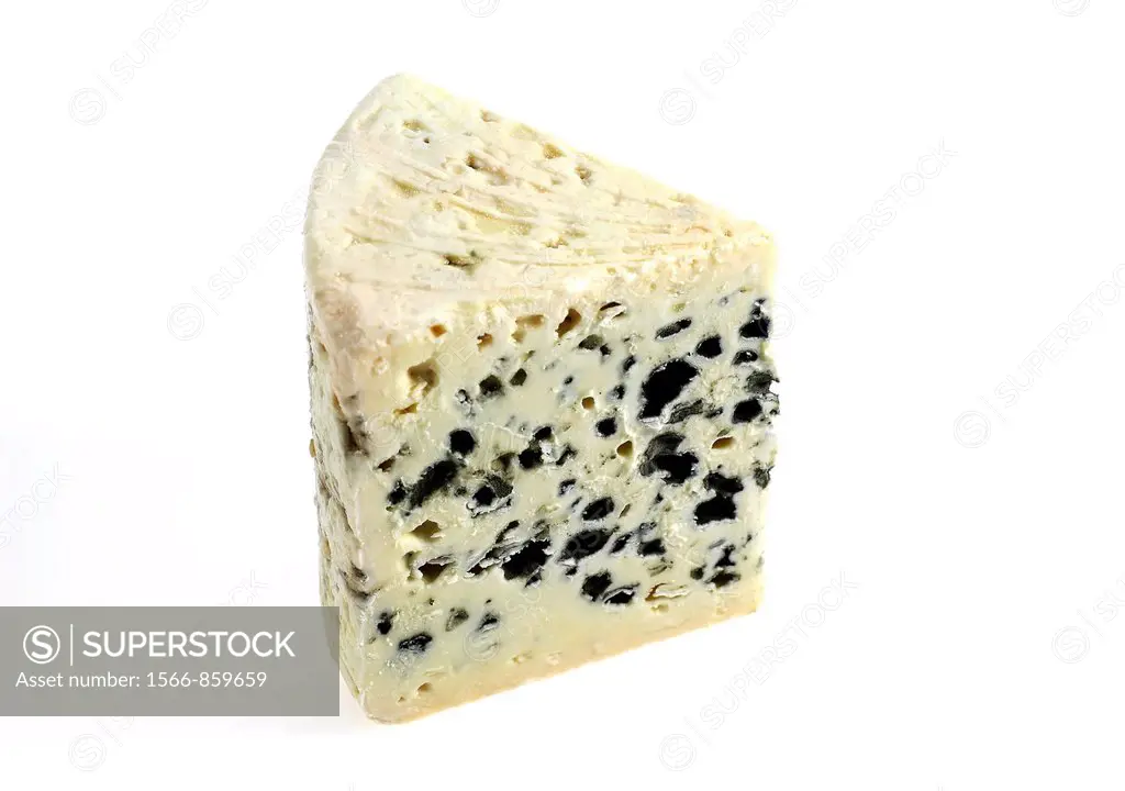French Cheese called Roquefort, Cheese made from Ewe´s Milk, against White Background