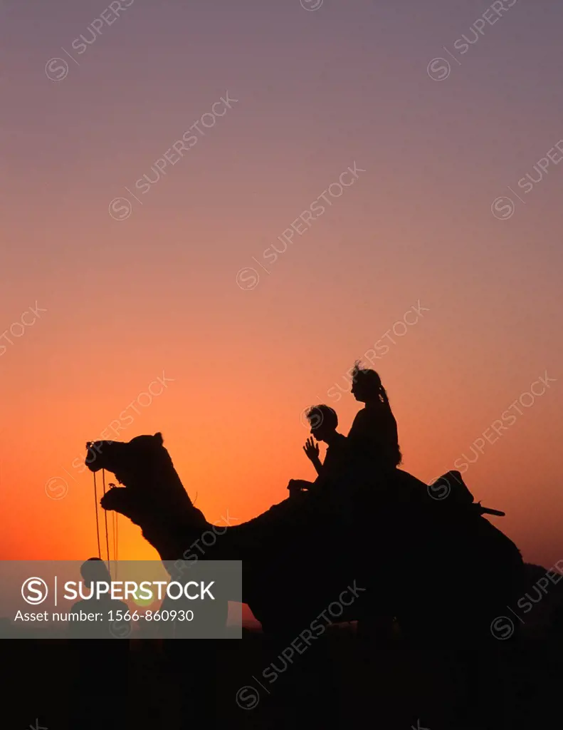 India, Rajasthan, Pushkar, Camel Fair, camels, people,