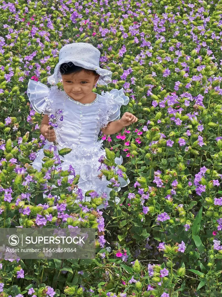 Small girl at green heaths, Plateau of flowers, Kaas, Satara, Maharashtra, India
