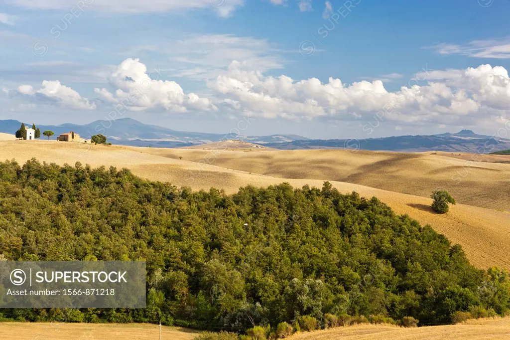 Rolling landscape near Pienza, Val d´Orcia, Province of Siena, Tuscany, Italy, Europe