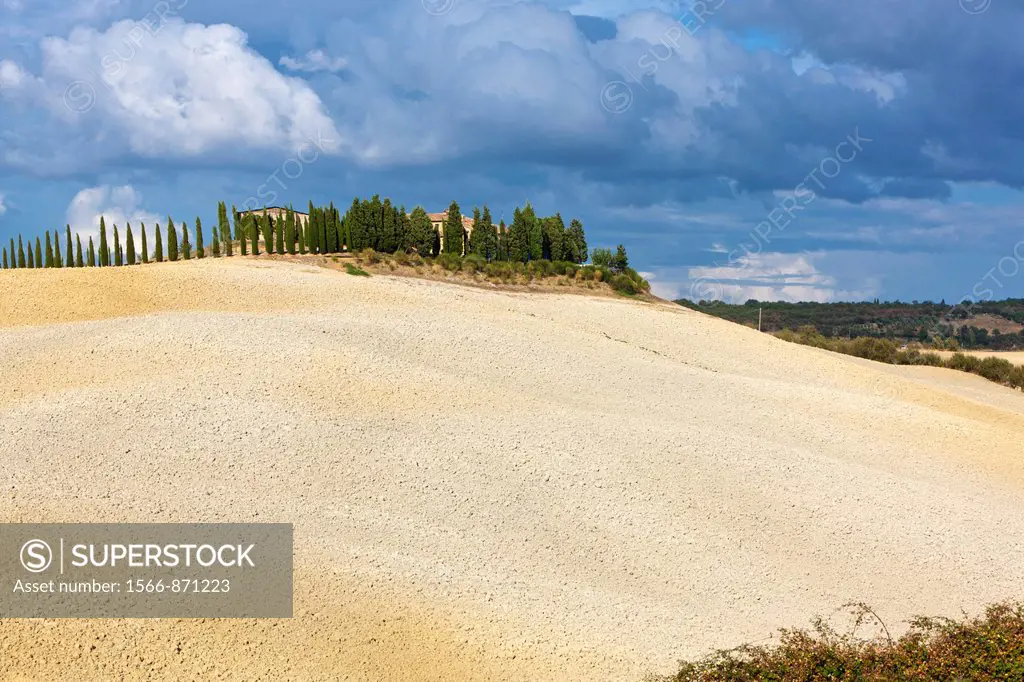 Rolling landscape near Pienza, Val d´Orcia, Province of Siena, Tuscany, Italy, Europe