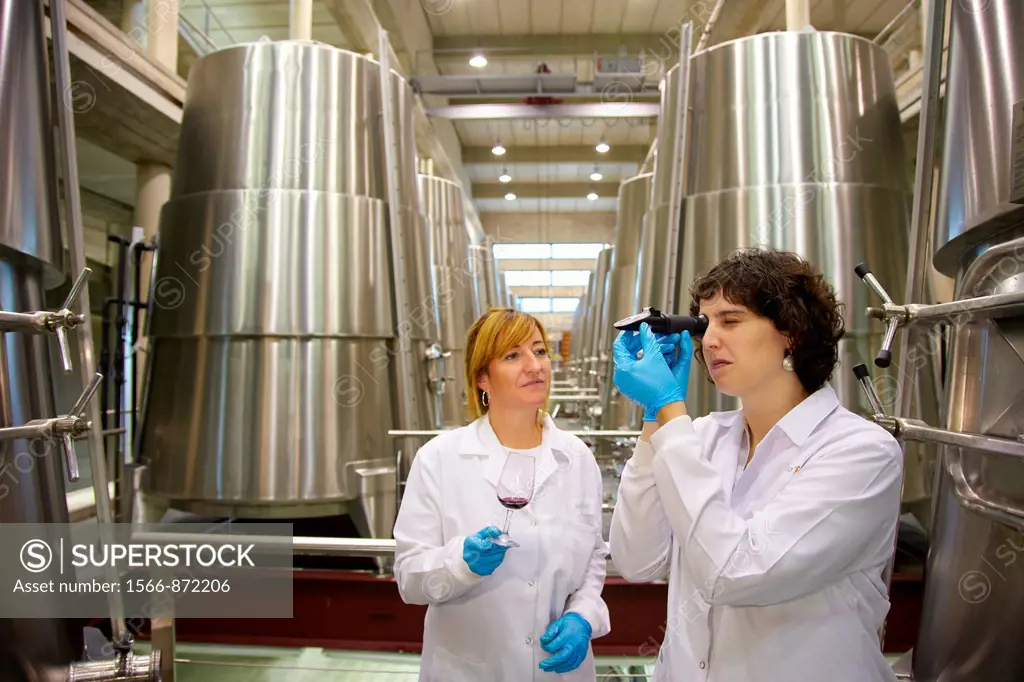 TECNALIA Researchers conducting a quality control of wine fermentation, Wine cellar, Fermentation tanks, Bodegas Baigorri, Samaniego, Araba, Rioja Ala...