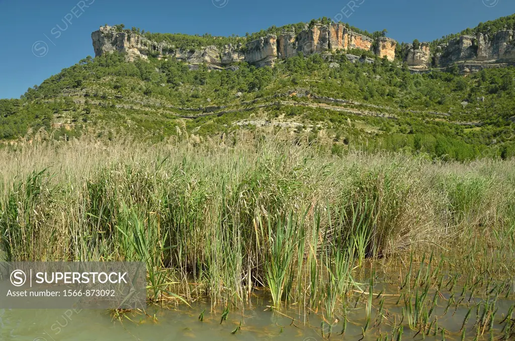 Laguna de Uña Cuenca