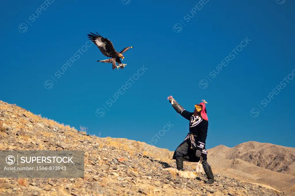 Kazakh eagle hunter and his golden eagle in the Altai Region of Bayan-Ölgii in Western Mongolia