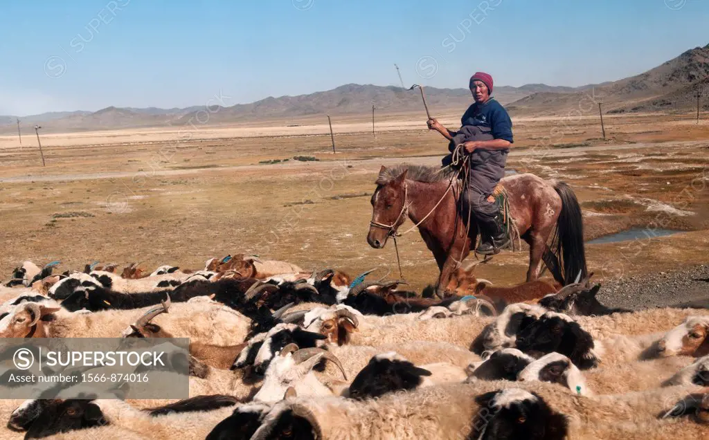 life at a ranch in the Gobi Desert of Mongolia