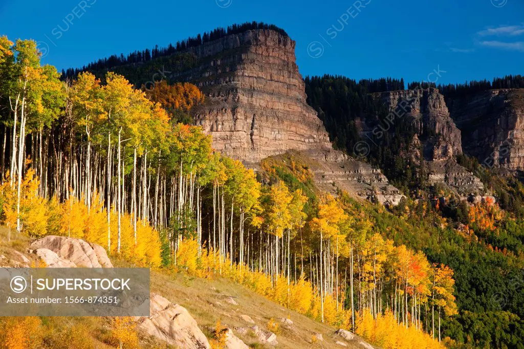 Fall color in the Rocky Mountains