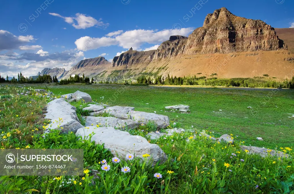 Alpine meadows at Logan Pass with the Garden Wall and Bishop´s Cap in the distance, Glacier National Park Montana USA