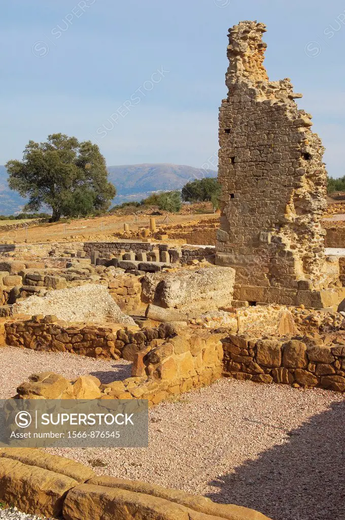 Roman ruins of Cáparra, Guijo de Jarandilla, Via de la Plata, Caceres province, Extremadura, Spain