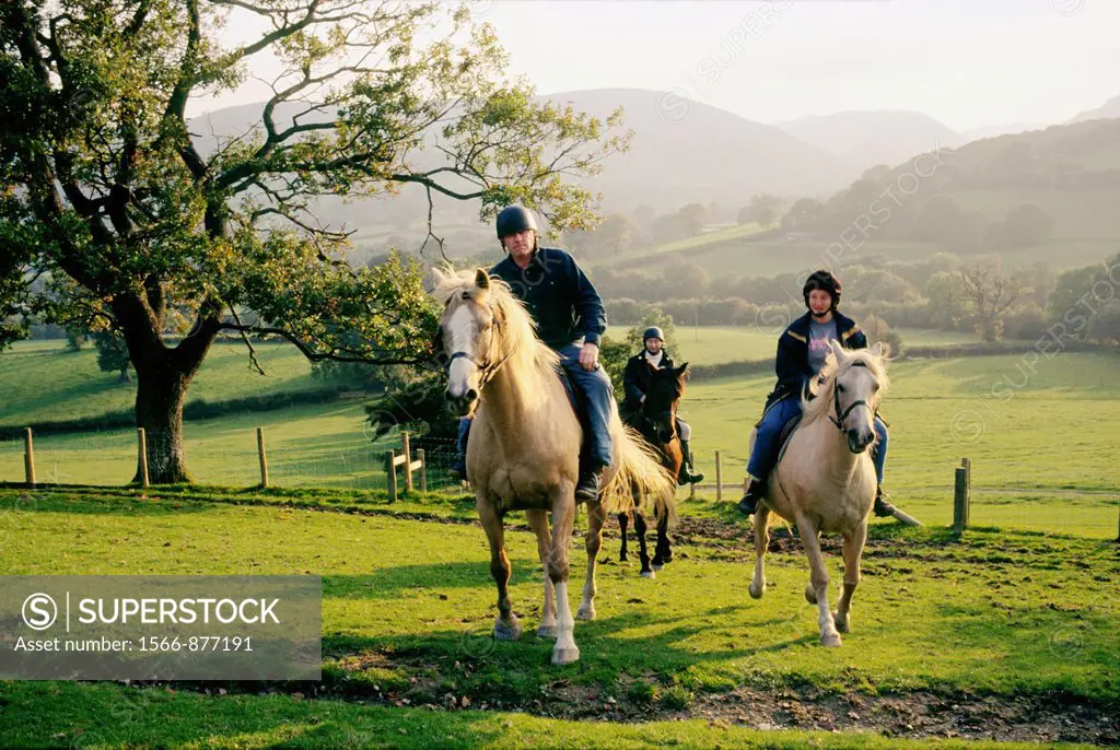 Pony trekking horse riding at Penlone Farm with Elan Valley behind  Near Rhayader, central Wales, UK