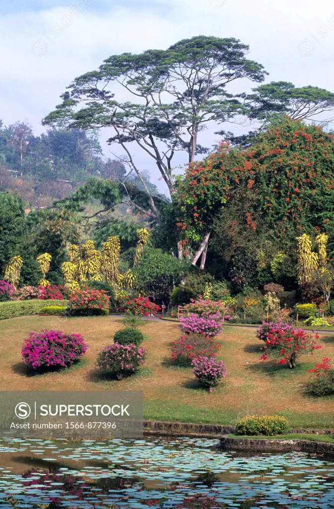 Peradeniya Botanical Garden, Kandy, Sri Lanka