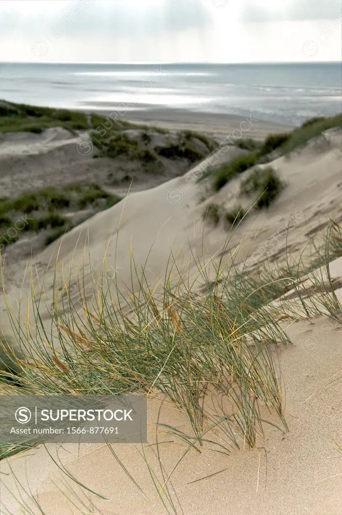 Sand dunes on the Lancashire coast
