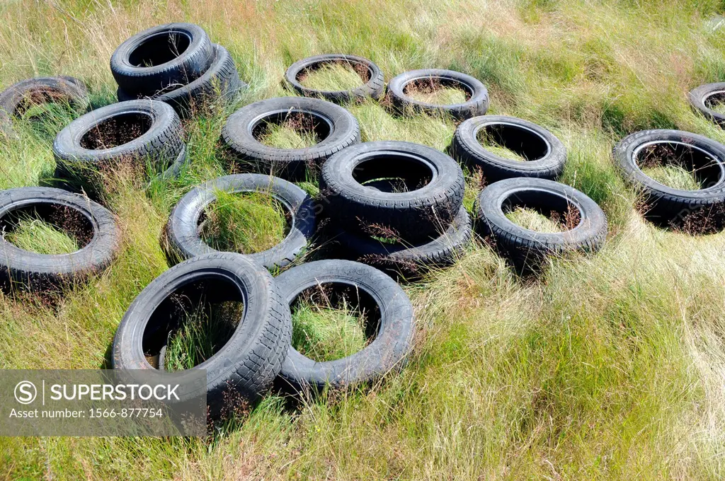 Old car tires on a green mead in Poland, Mazovia region