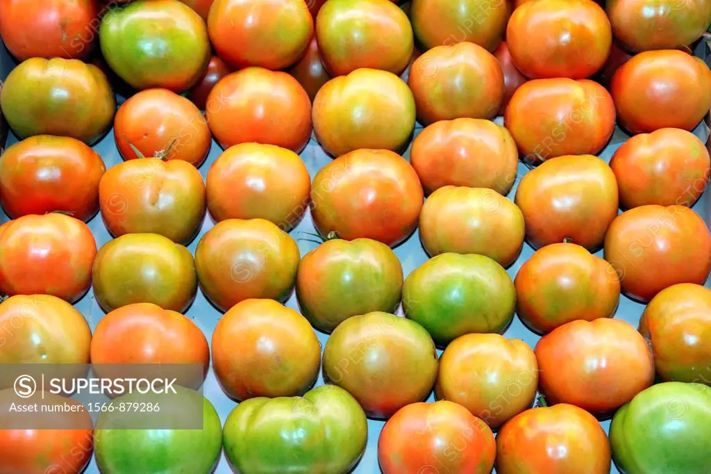 Fresh tomatoes, La Boquería Market, Barcelona, Catalonia, Spain