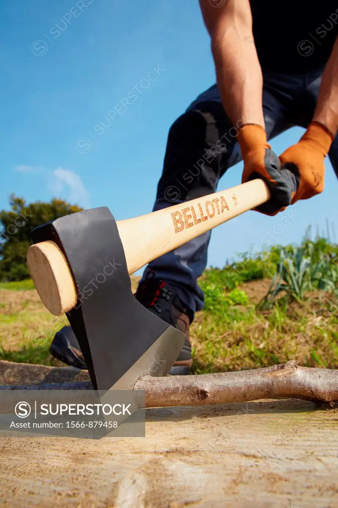 Farmer chopping wood with an ax, Axe, Agricultural and gardening hand tool, Usurbil, Gipuzkoa, Basque Country, Spain