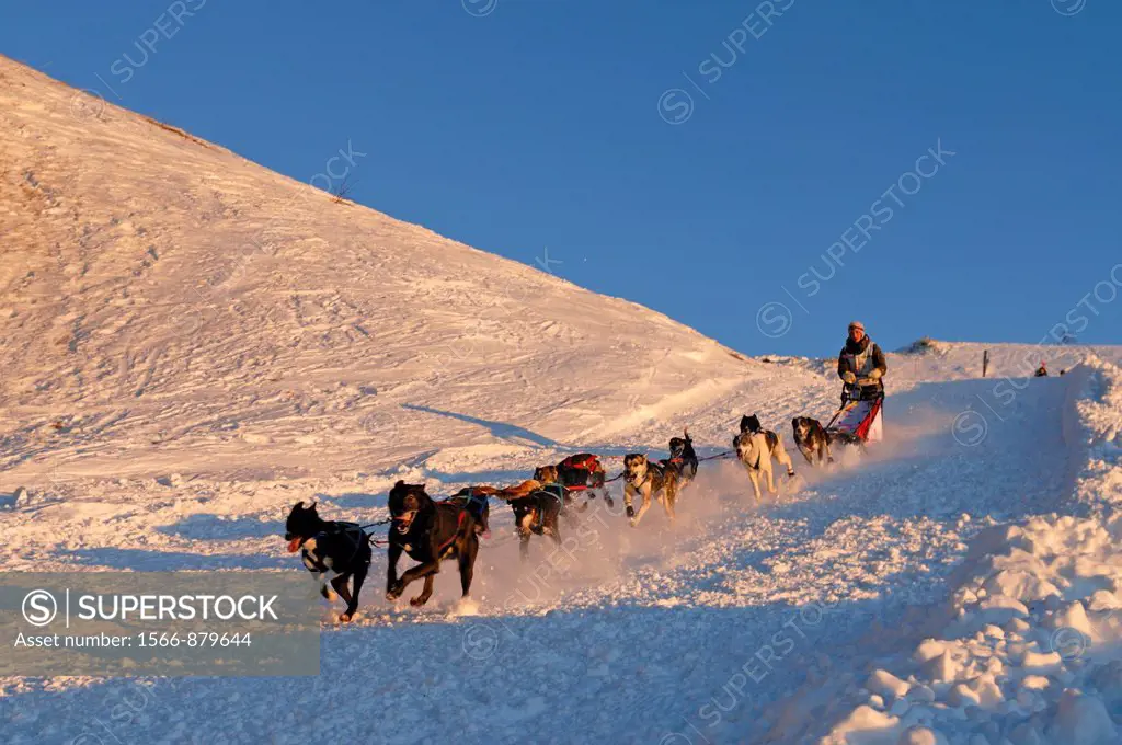 La Grande Odyssee, international sled dog race Haute-Savoie department, Rhone-Alpes region, France, Europe