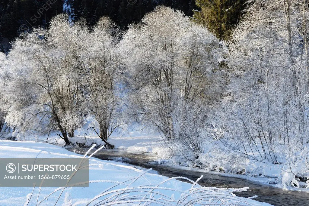 frost over the Dranse d´Abondance river, Haute-Savoie department, Rhone-Alpes region, France, Europe