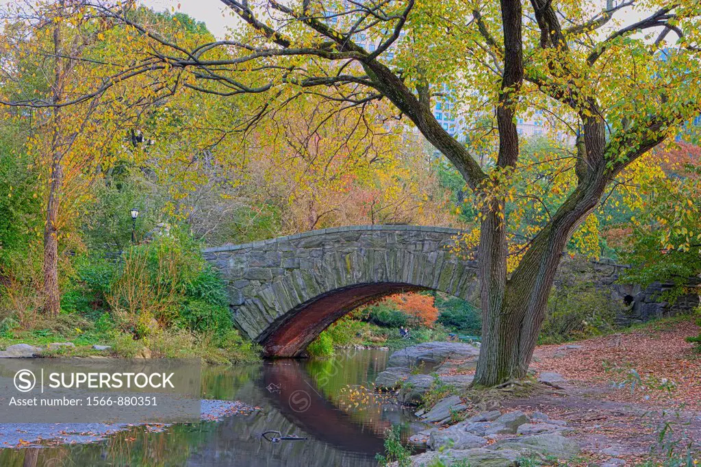 Gapstow Bridge & The Pond, Central Park