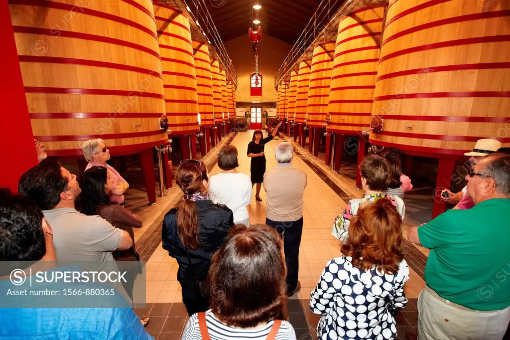Tourists on a tour, Barrels of wine making, Marques de Riscal winery, Elciego, Rioja Alavesa, Alava, Basque Country, Spain