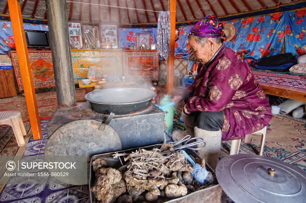 traditional nomad tends to the wood stove inside her ger in the Gobi Desert of Mongolia
