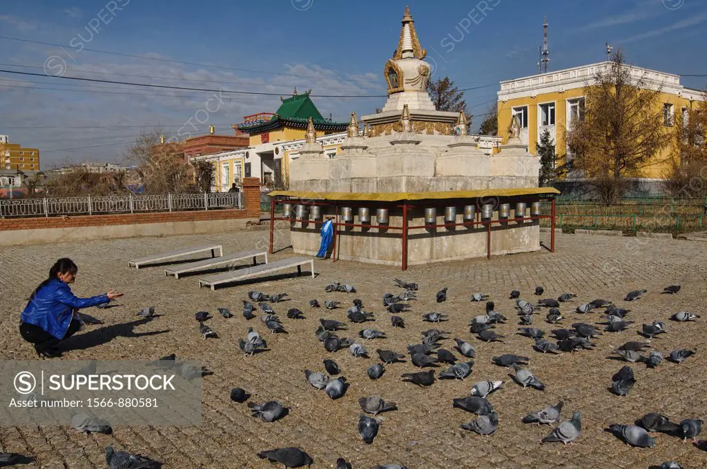 pigeons at Gandan Monastery in Ulan Baatar, Mongolia