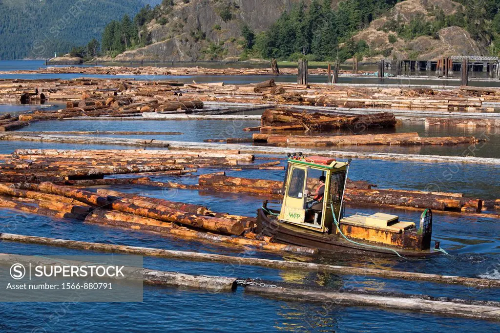 Lumber Mill, Gold River, Vancouver Island, British Columbia, Canada