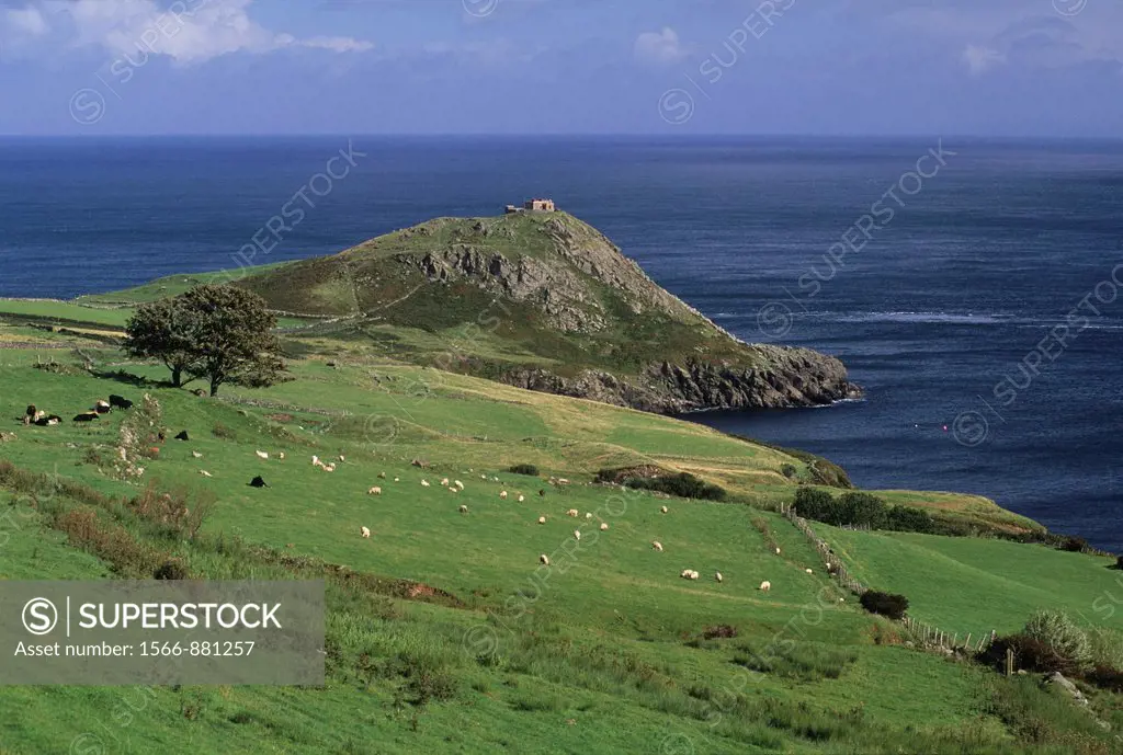 Torr Head, coast of Antrim, around Cushendun, Northern Ireland, United Kingdom, Western Europe
