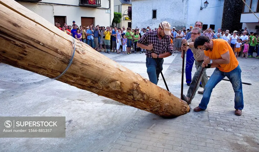 Les  Haro´s party  Trunk of fir of approximately 11 meters of length Quilhada  Six days after burning the Haro, again the citizens of Les put the new ...