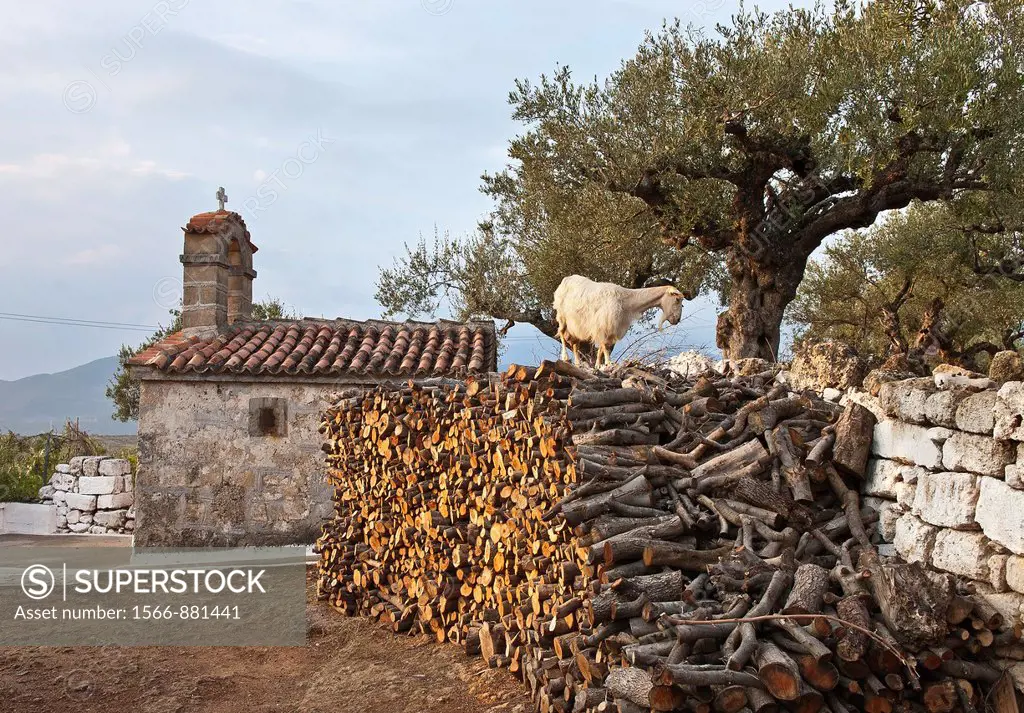 Village scene in Proastio near Kardamili in the Outer Mani, Southern Peloponnese, Greece