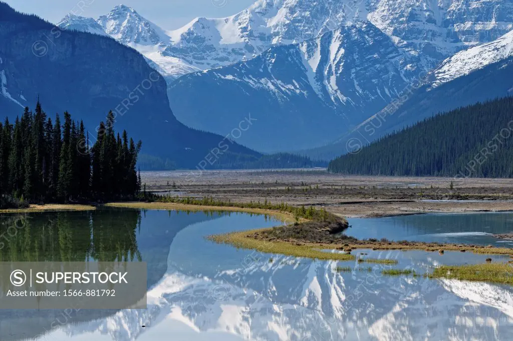 Mt  Kitchener reflected in the Beauty Creek pool near the Sunwapta River, Jasper NP, Alberta, Canada