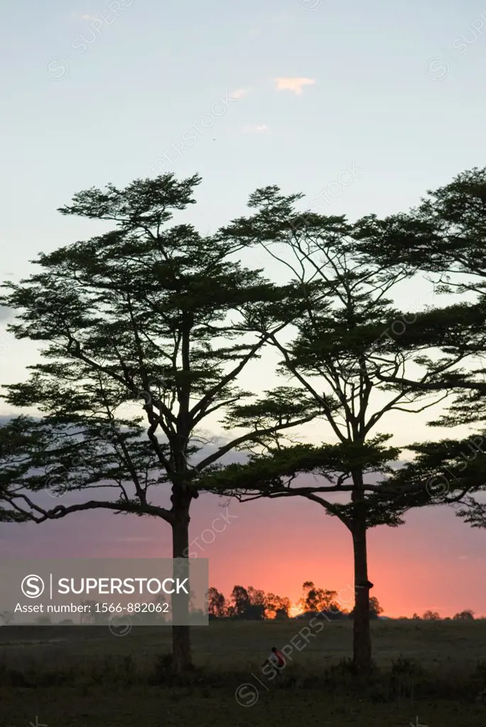 sunset, Nosy Be island, Republic of Madagascar, Indian Ocean