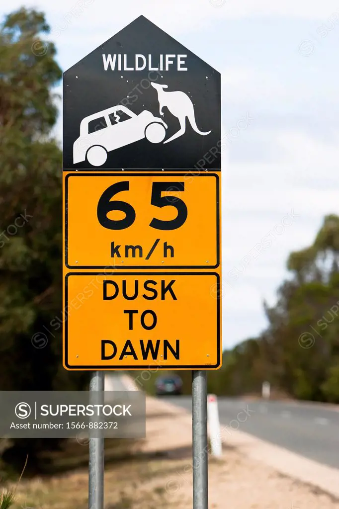 Traffic sign with kangaroo to signal the speedlimit due to kangaroo crossing  Australia, Tasmania, February 2006